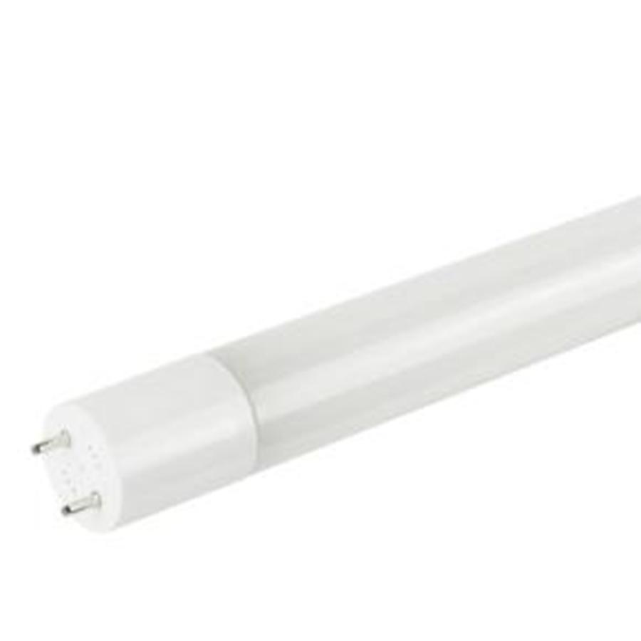 T8 and T12 4Ft LED Tubes